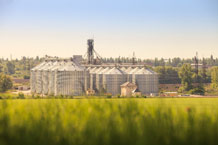 Grain Storage Farm